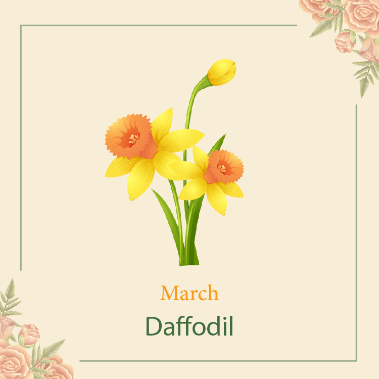 Flowers Meaning Hope Best Flower Site